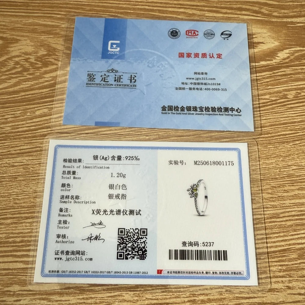 Hot Sales Fashionable 925 Sterling Silver Charming Princess Ring Size 6 7 8 9 Women's Original Wedding Crystal Luxury Accssory